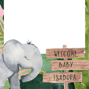Baby Shower  Baby Safari   2x6  4 Photos