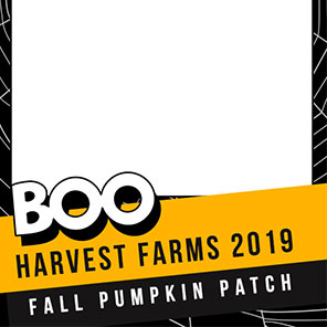 Event  Boo 1  2x6  4 Photos