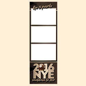 New Year  NYE Ball  2x6  3 Photos