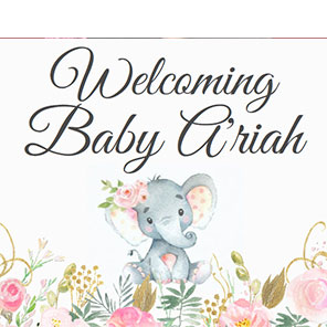 Baby Shower  Sweet Elephant  2x6  3 Photos