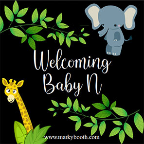 Baby Shower  Little Safari  2x6  3 Photos